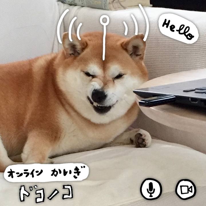 5a88540f dd7e 464b 8b98 745d554723f5 1591272915202