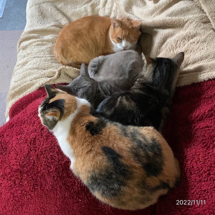 5a88630a fe7b 41ca 9f8a ad55dbd0858f 1668118383662