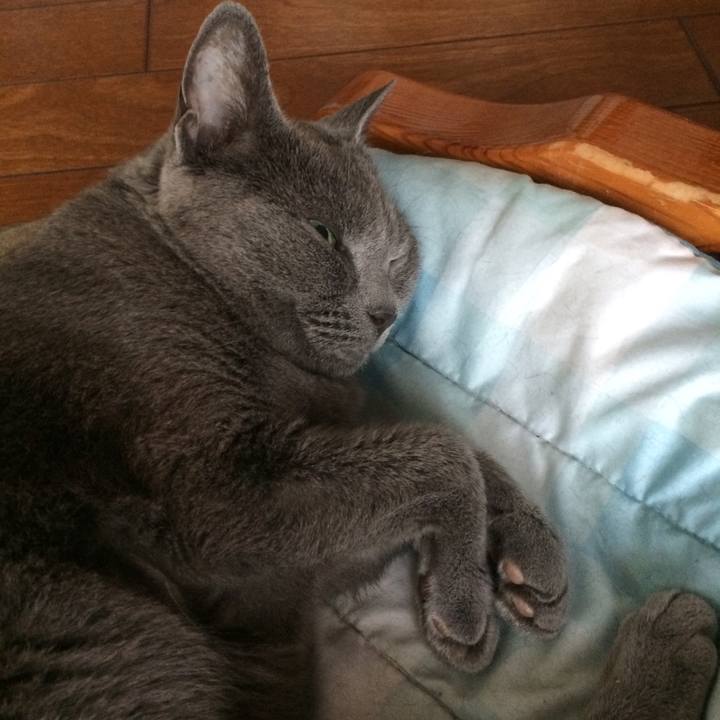 5a887882 cf3a 4f8e 902e f06bec3ad21b 1535063948532