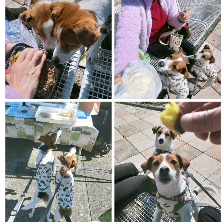 5a887cff cadc 41ee 95f8 48547261fe7a 1771143536985