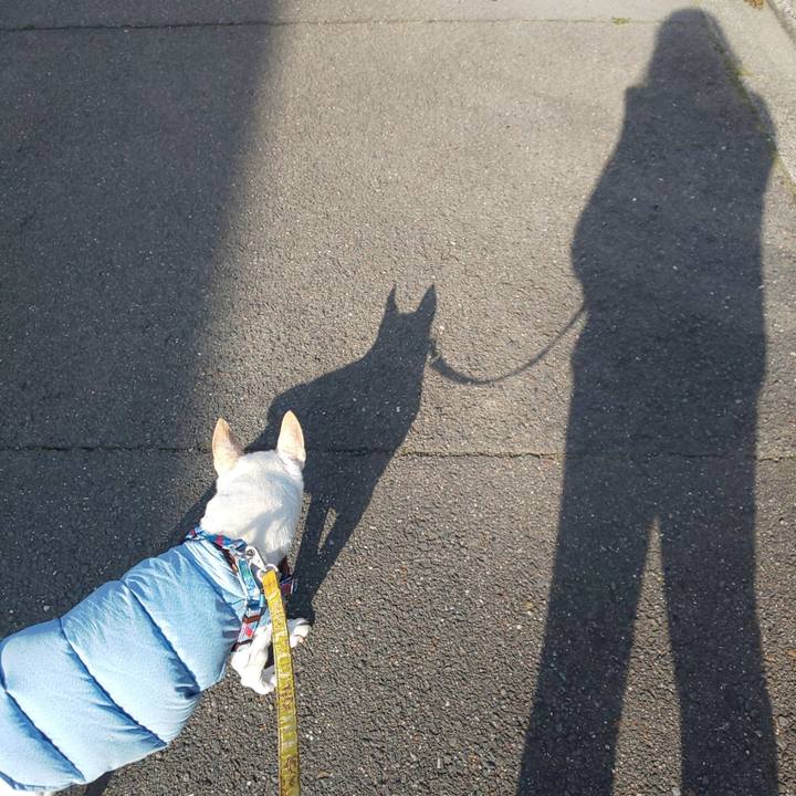 5a890e94 d8ef 4113 9db8 7158a7067ce8 1553472173823