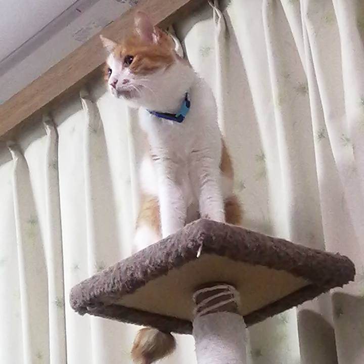 5a895d3b 3c78 4bcd 8f9d 80011e718cfc 1654434251407