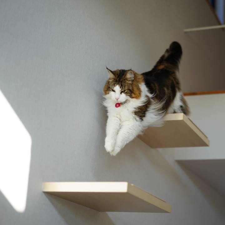 5a897edf f64d 4d26 8813 fc06c7e0d70f 1701583635728