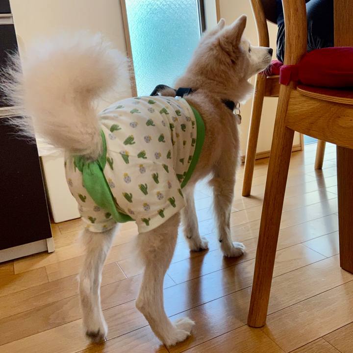 5a89d1a4 4135 44b8 ac12 ad4c42a055a0 1670168409438