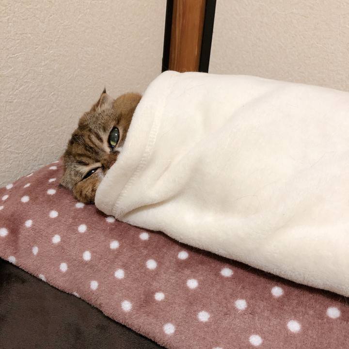 5a89ebc4 4aba 4b15 9bec 16a63c75d721 1607513722021