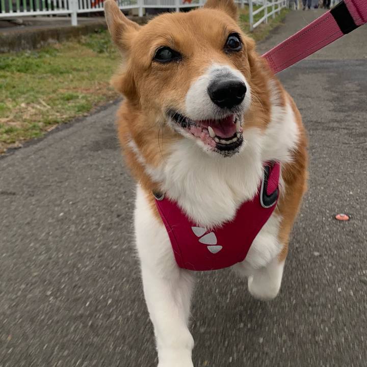 5a89f4dd 2cf6 453b bb0e 91debef56821 1709721786242