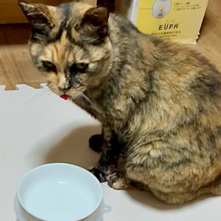 5a89f5ec 0241 47e0 8f5a e300d7fd2e67 1749550172297