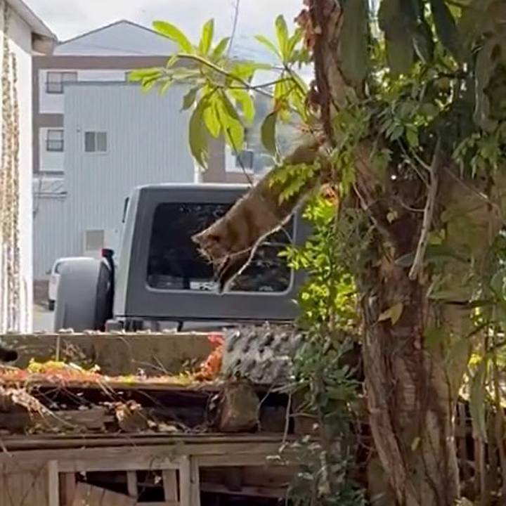 5a8a0d73 919a 42ae 9e08 9fb826ea13c0 1764302518220