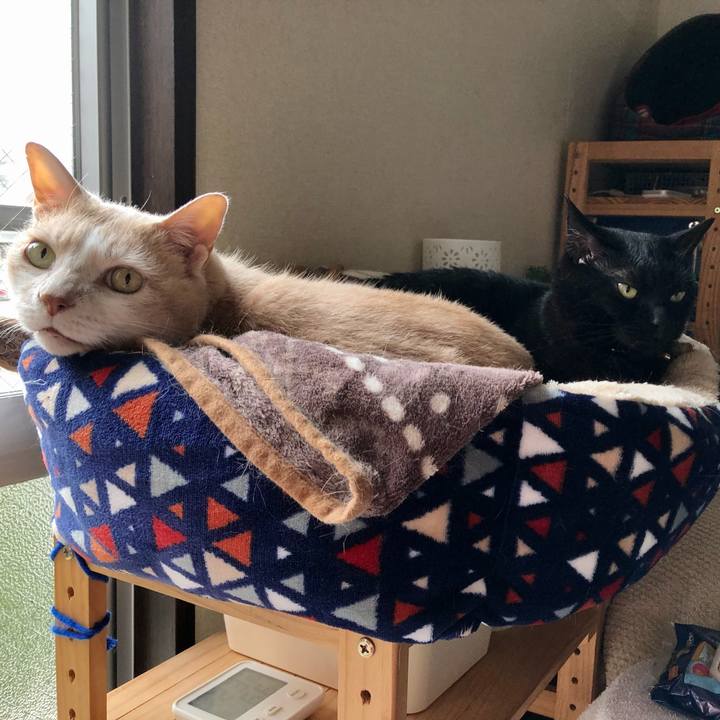 5a8a2fd0 55c5 4dfe b4db 091840e64d51 1623970219693