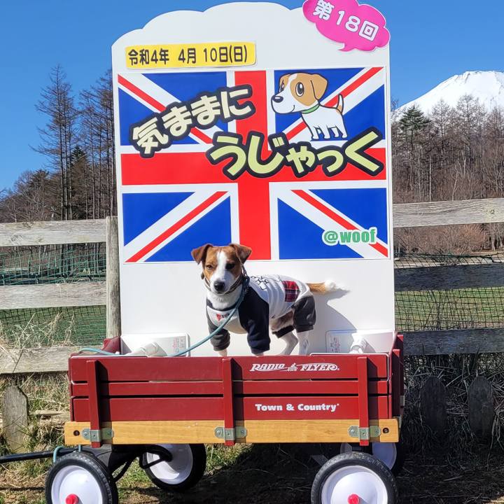 5a8a4ff6 a4cc 4b0e ad9d 0dbf05deb984 1661312340782