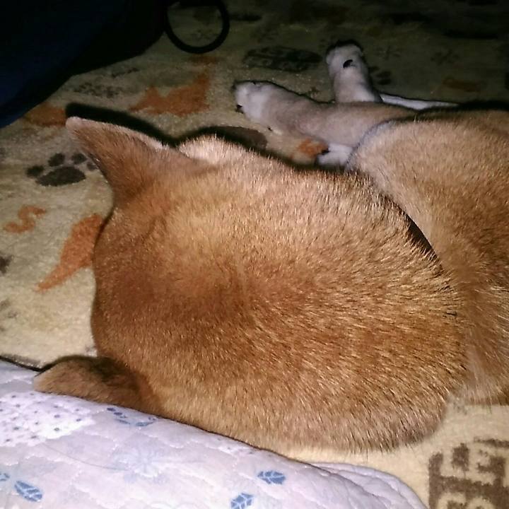 5a8abe92 0fe9 4658 9b0a b3657e8311d3 1579859918700