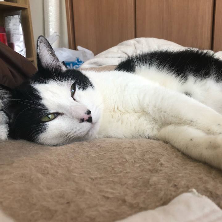 5a8adf88 4e96 43d2 b9b5 14f3a544b589 1547437930111