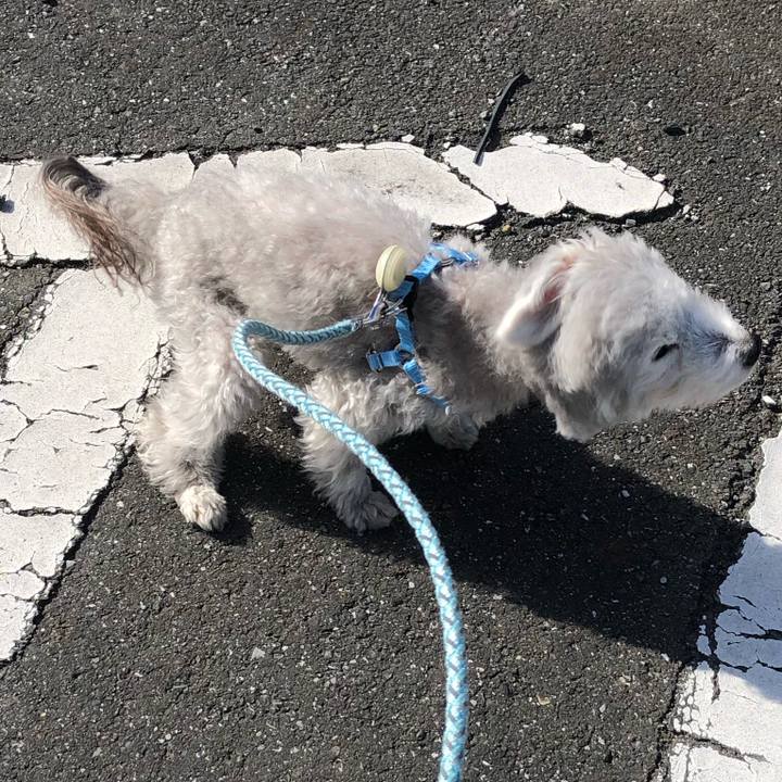 5a8ae453 6e13 4909 b104 c405bbf36b2d 1585812885382