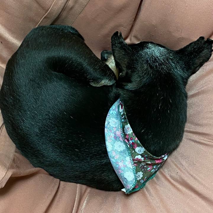 5a8aef77 6aa9 4948 8945 7555738d0029 1580394813235