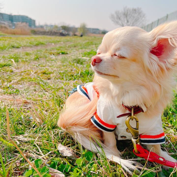 5a8b1961 e35a 42b5 94ba 122eb879fab6 1648199783298