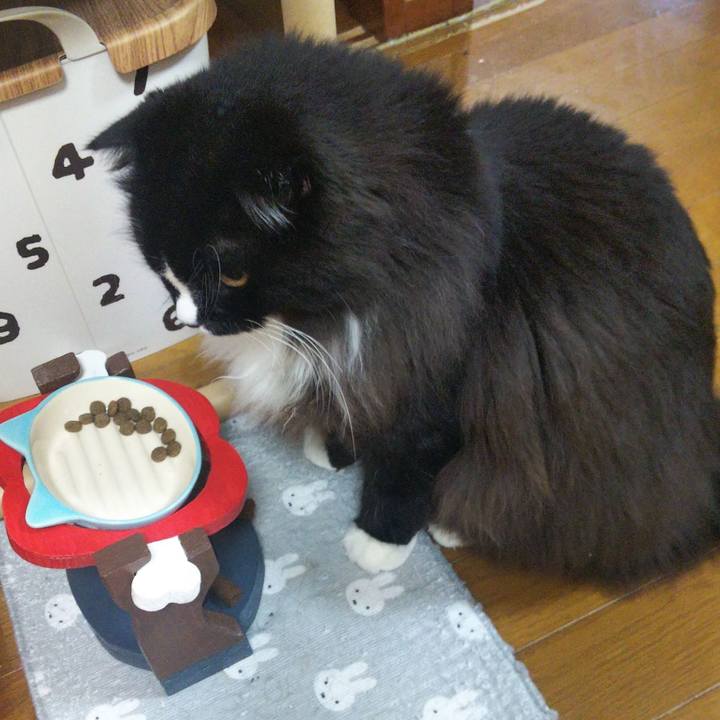 5a8b24b7 0d9e 4501 bc7f 8ff9c3a47532 1660005870441