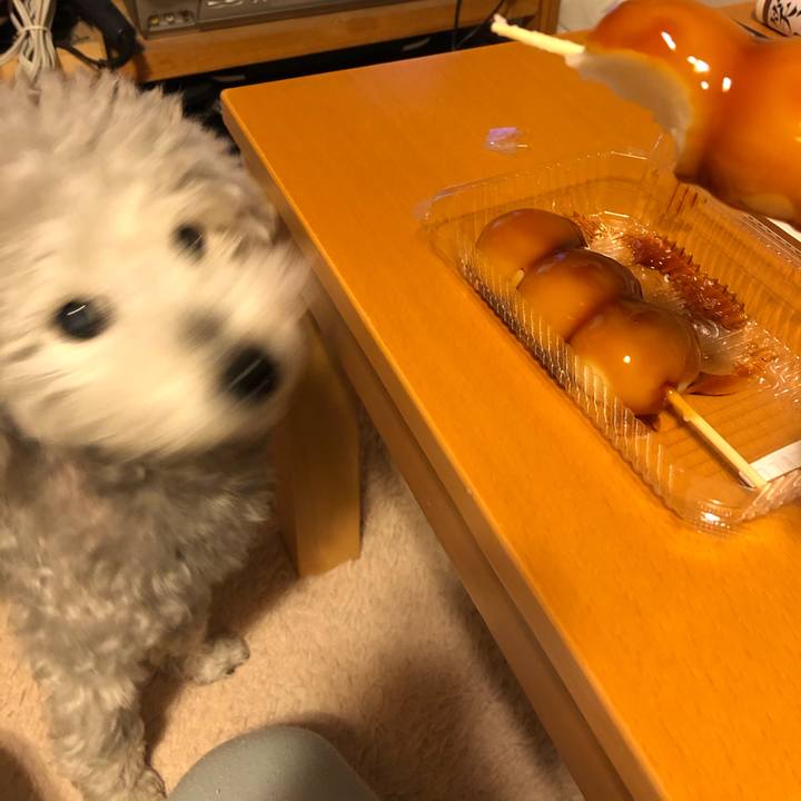 5a8b2dd0 cab4 41d4 860b 74ed40d5d076 1619014785419