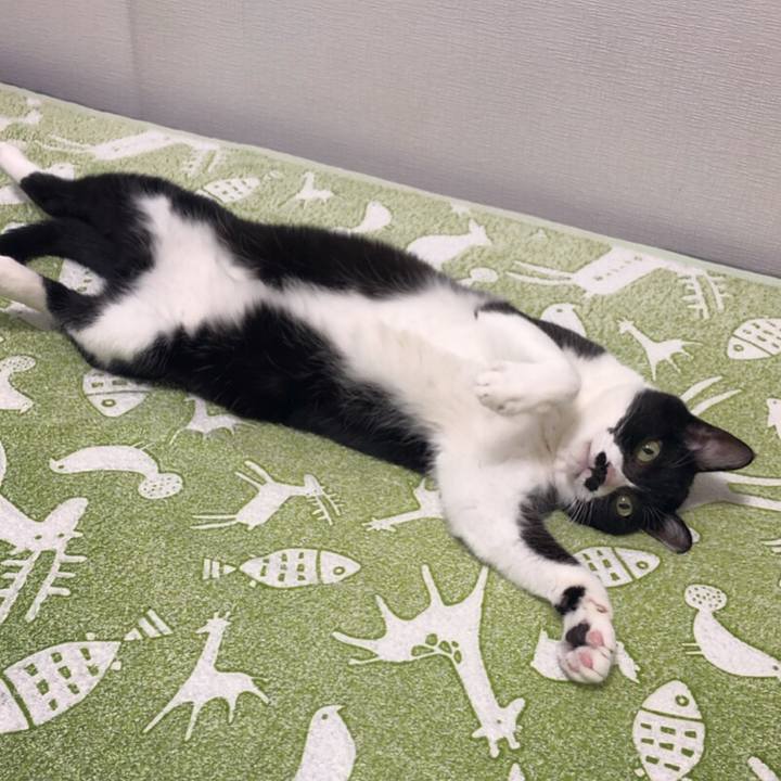 5a8b40a7 d706 4f5c 9ff6 3284f3a355fa 1602422745907