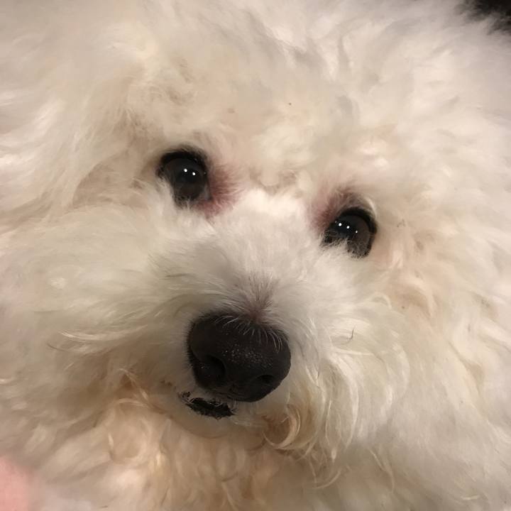 5a8b51b6 d94c 4046 a62e b56ef7cce173 1533551215577