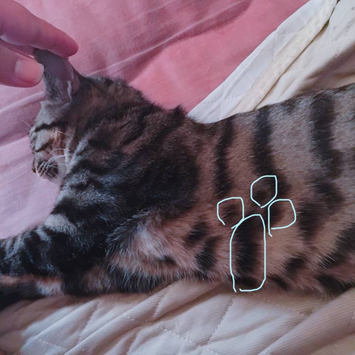 5a8b88cf 9c2b 4ef9 b6ef 2543de8de757 1542260779484