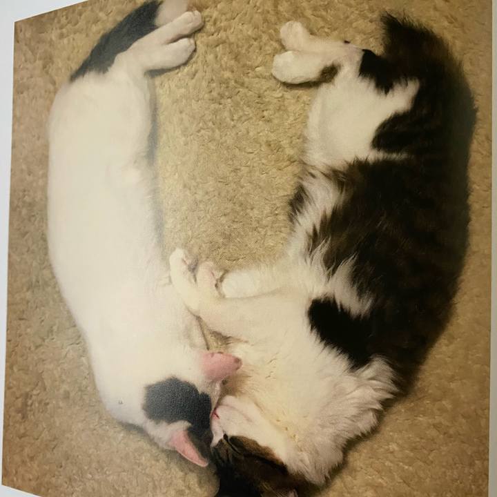 5a8bb7b6 2ce4 4ff0 88d7 f31a474a9fcf 1663625759542