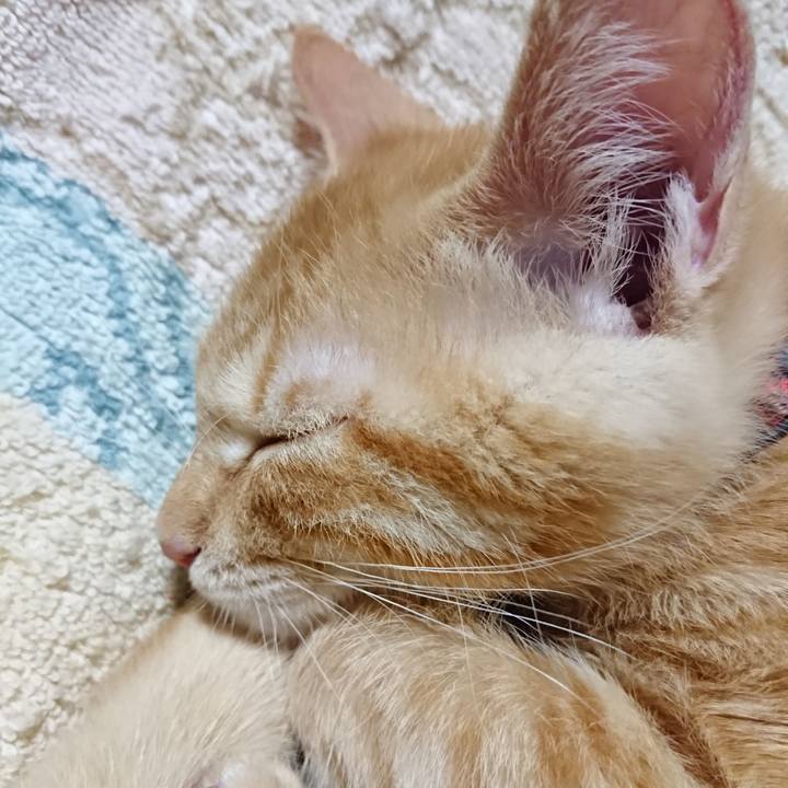 5a8bceaf 5da2 4f43 b4e4 eb223c10b46e 1632833536115