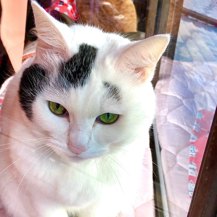 5a8bf7dd 784d 4464 b533 516562a2c8da 1579581791523