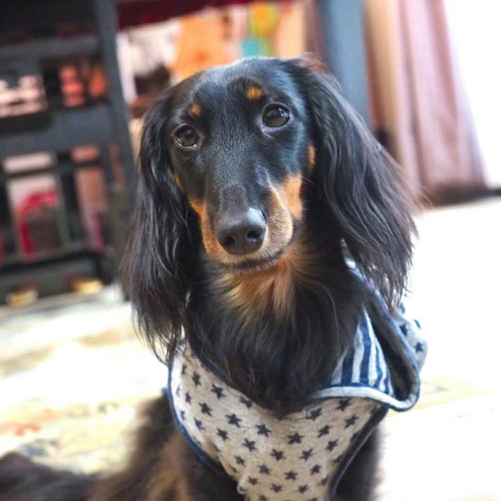 5a8bf9c2 e260 46a2 afe3 341d888c2fa7 1509932847524