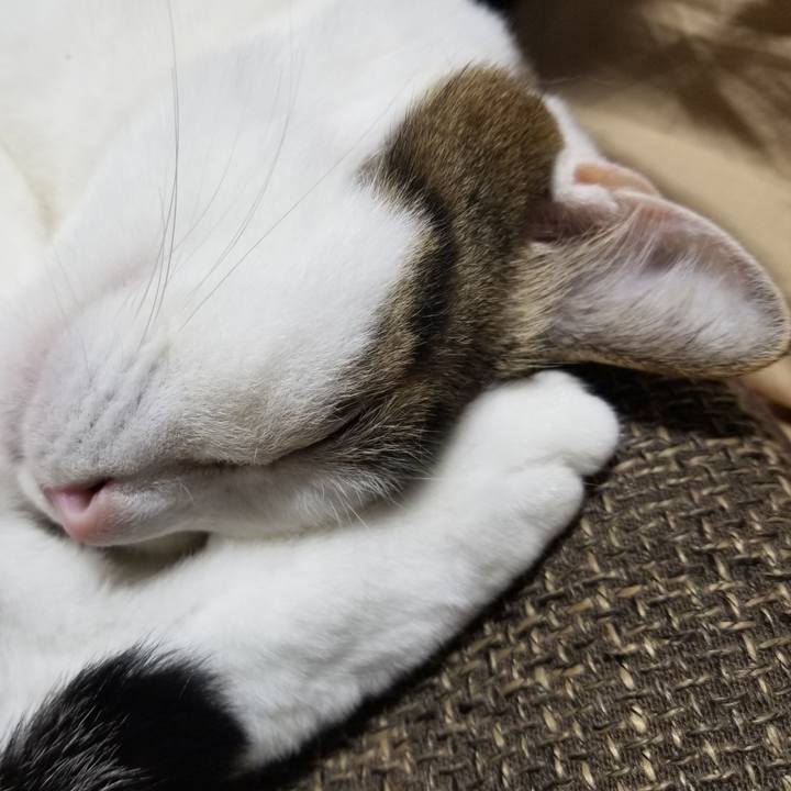 5a8c167f e6fb 4225 b00a 16539a4c0417 1617715816524