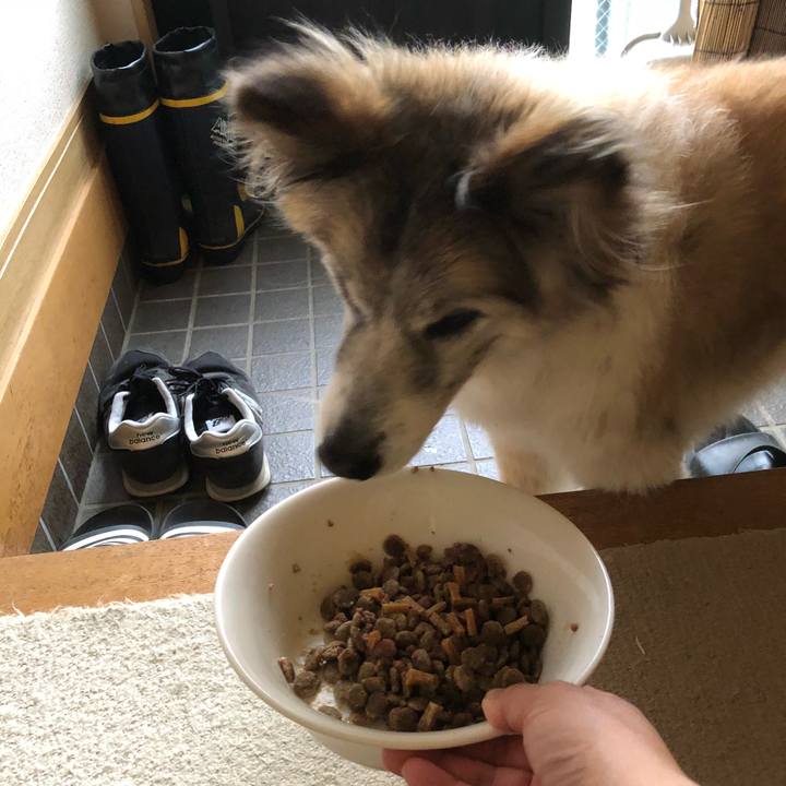 5a8c29b7 588c 43b8 ad88 61cccbfd9b05 1530668352378