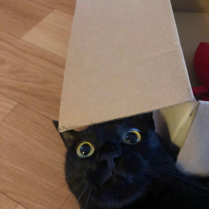 5a8c35b1 6ff6 40ab 91eb 0ab8f6087892 1594217671893