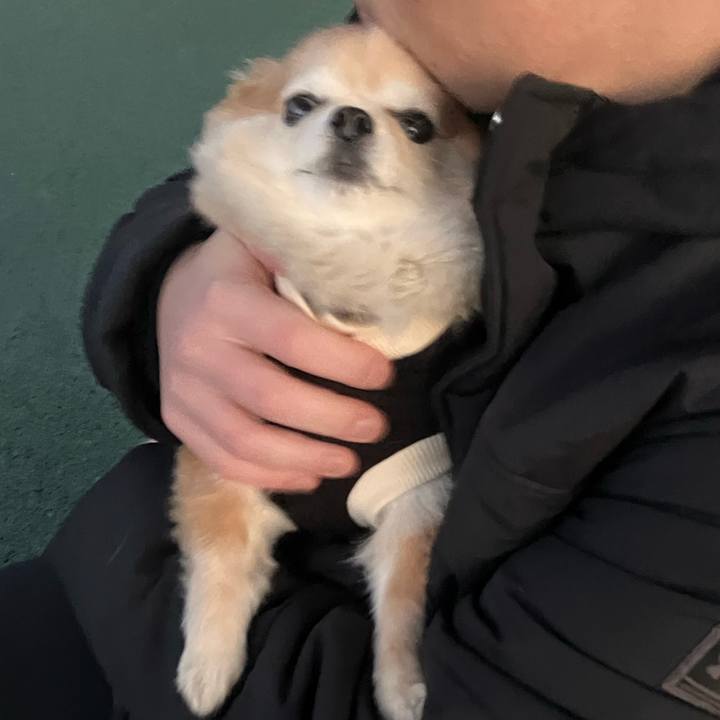 5a8c3687 c875 4a67 ac04 21a6c5d35514 1766826985861