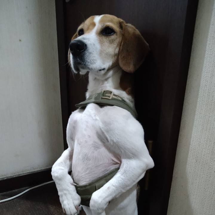 5a8c53d2 2b40 4b18 8eb5 485363074325 1672146910234