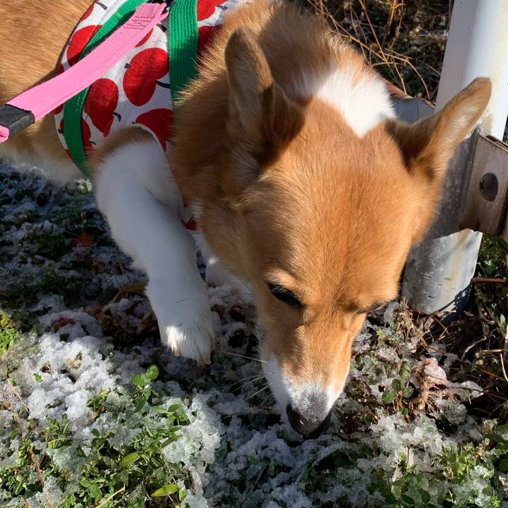 5a8c56a9 9e86 4531 acbf 21c7a1b41485 1705197227755