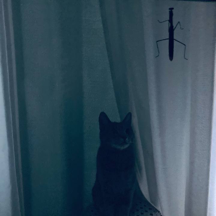 5a8c5bb1 fd10 413c b1fd 290075596cd4 1633356632639