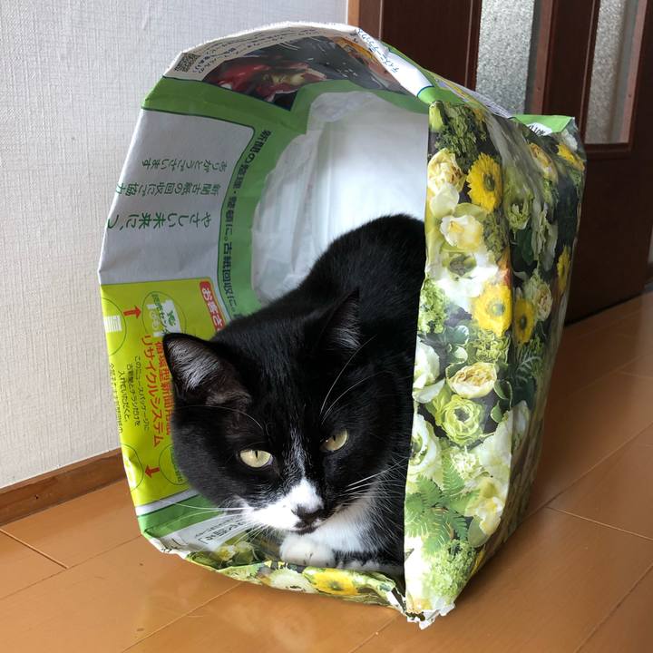 5a8c79fb f88a 4c7f a12a f233219b2f25 1619581505990