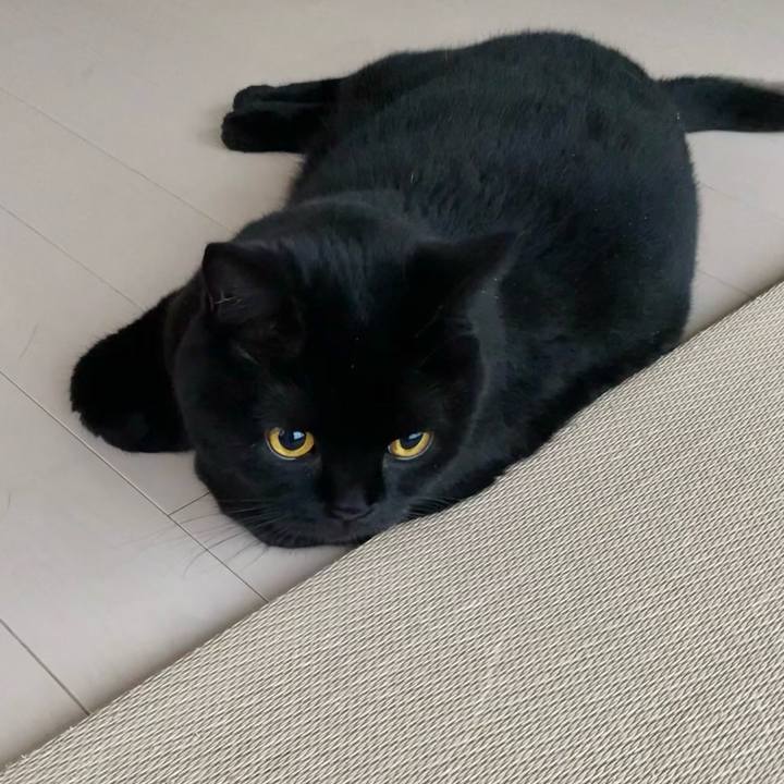 5a8c92cf c736 490e a3fa 1fb324aed1c8 1633221060390