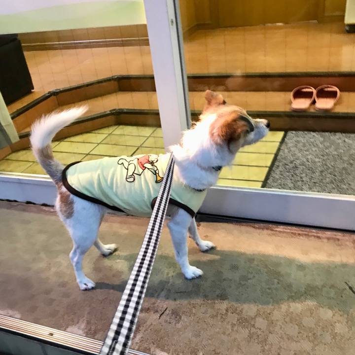 5a8c9acf 77b7 4f95 a754 e8538619b517 1663756292100