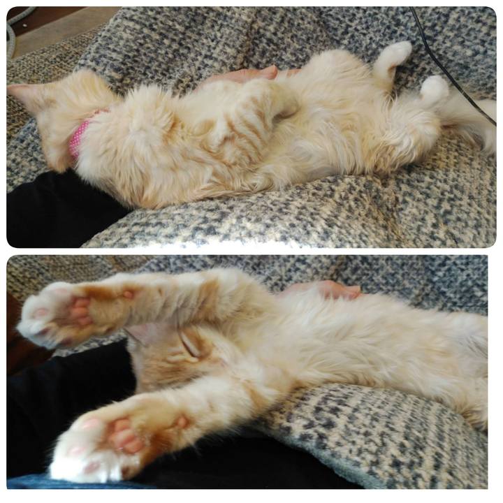 5a8cab1c 13da 4bc8 9057 c45485af2298 1611114916673