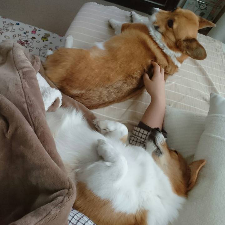 5a8cacca 2e4c 4c22 add7 8fecfc93a1bf 1543122229163