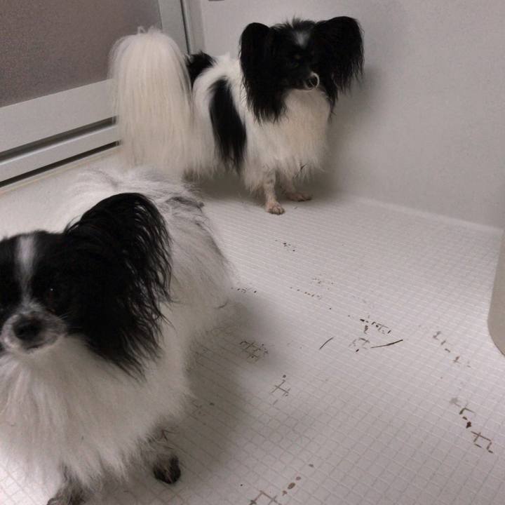 5a8cd25c 1fd5 4142 b08c 47a4edea0cda 1538176870966