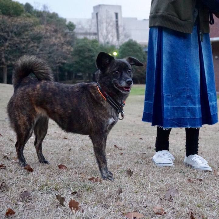 5a8cf334 b8cb 4b5d b335 d4a36cd4a39e 1518522573418