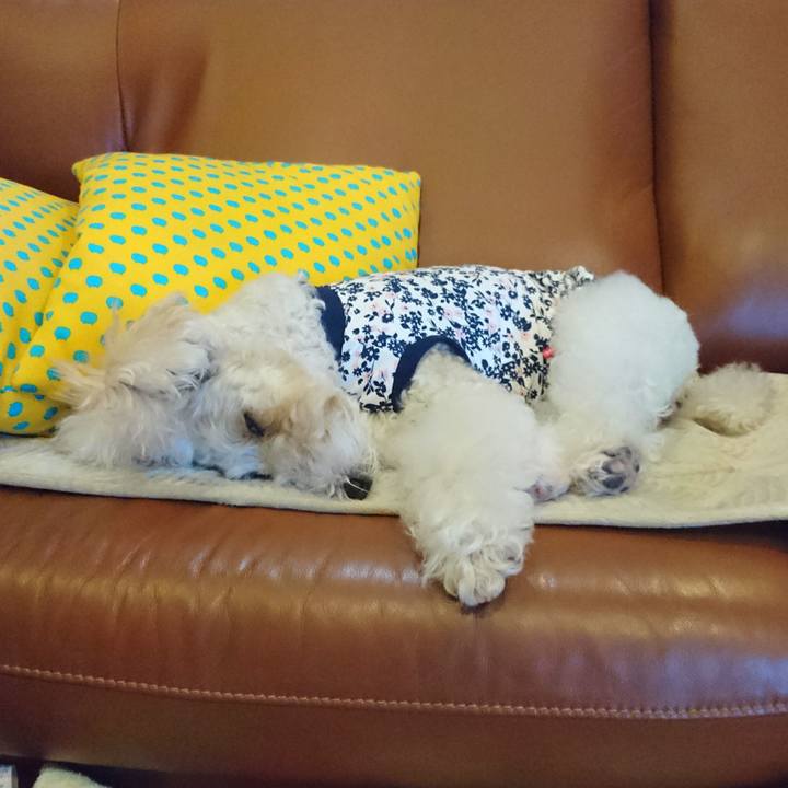 5a8cf906 96b8 4cce 954d 6649483e7dcc 1550835173839