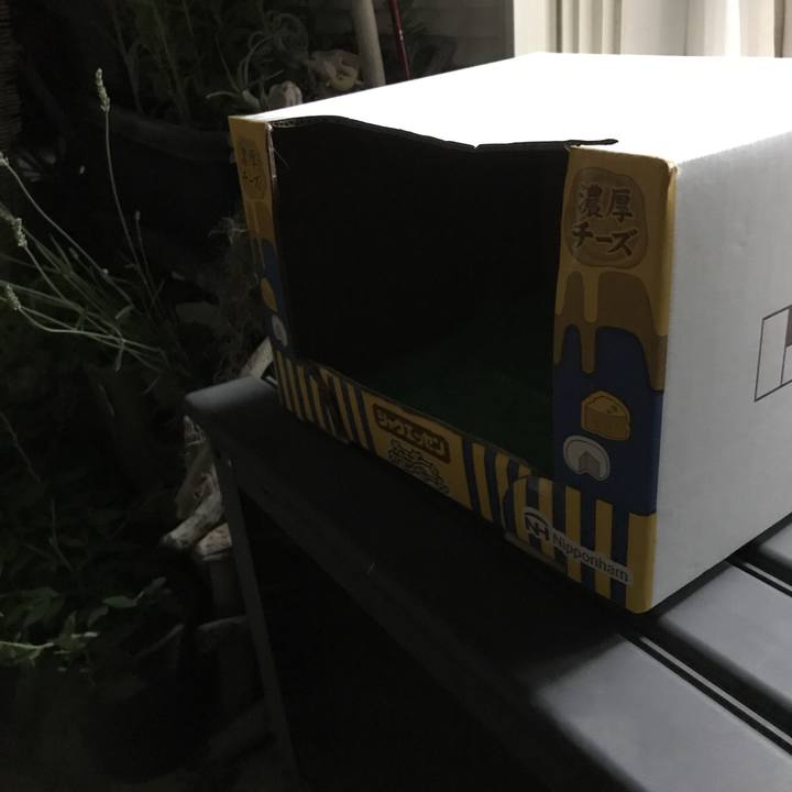 5a8d0df9 cf73 413d 9419 ee1b5fc32390 1590835551026