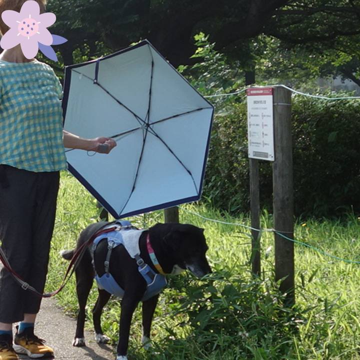 5a8d145d 6c16 4e28 af31 b10c27c8ce61 1752019185323