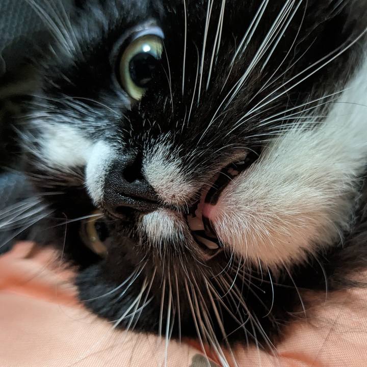 5a8d1998 a6e6 41b1 bf2a c50b7d005e96 1695870338994