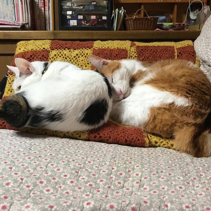 5a8d2172 5fce 451e 8b22 d96809d23251 1520257517745