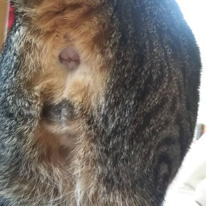 5a8d2a61 eece 407e 9747 cf4288b52c53 1613697206329