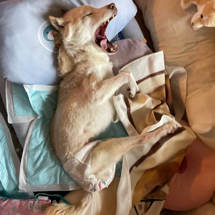 5a8d5519 859a 45f6 bf55 5f3af85b3676 1680752911502