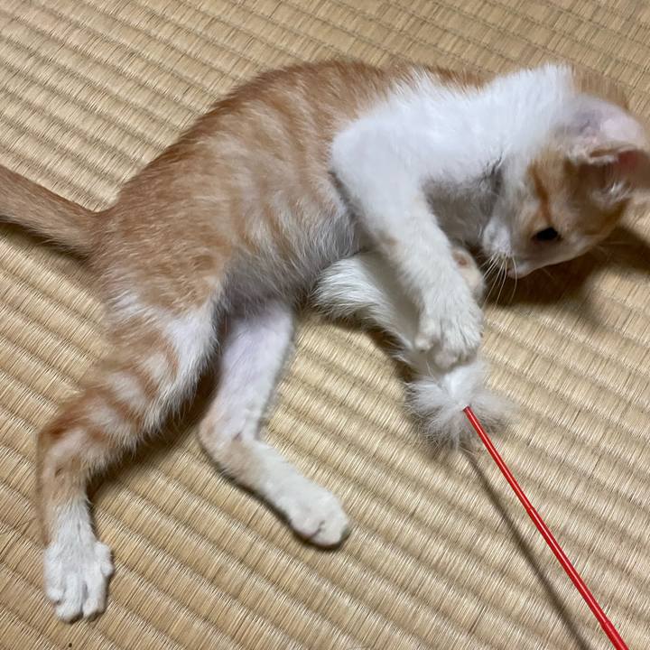 5a8d6351 7961 4468 8432 bced6788c8cf 1695122955041